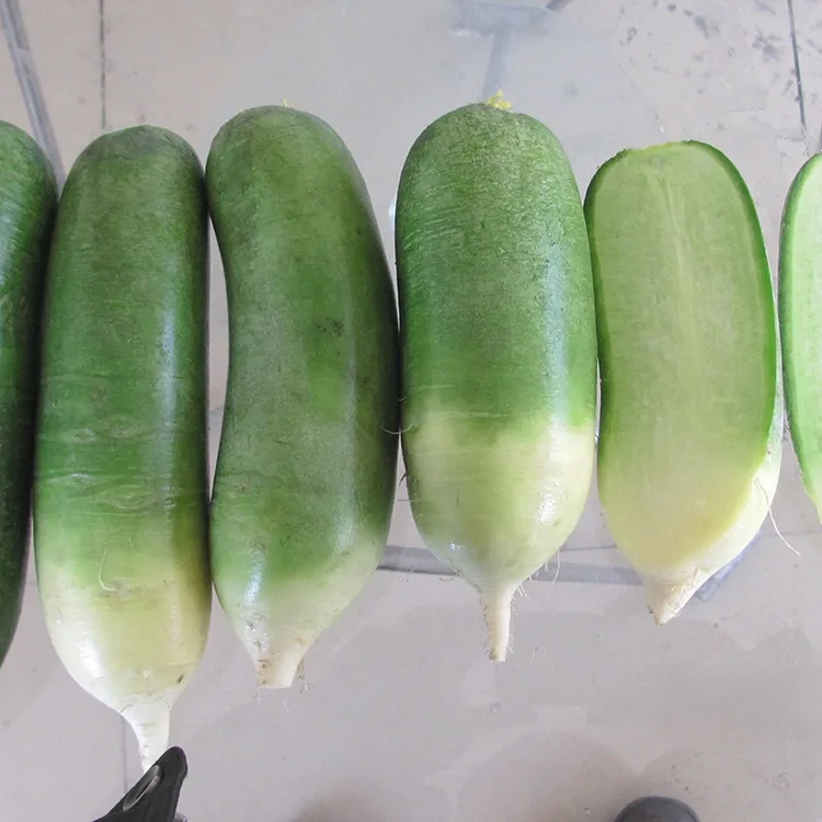 radish ສີຂຽວເຂັ້ມ