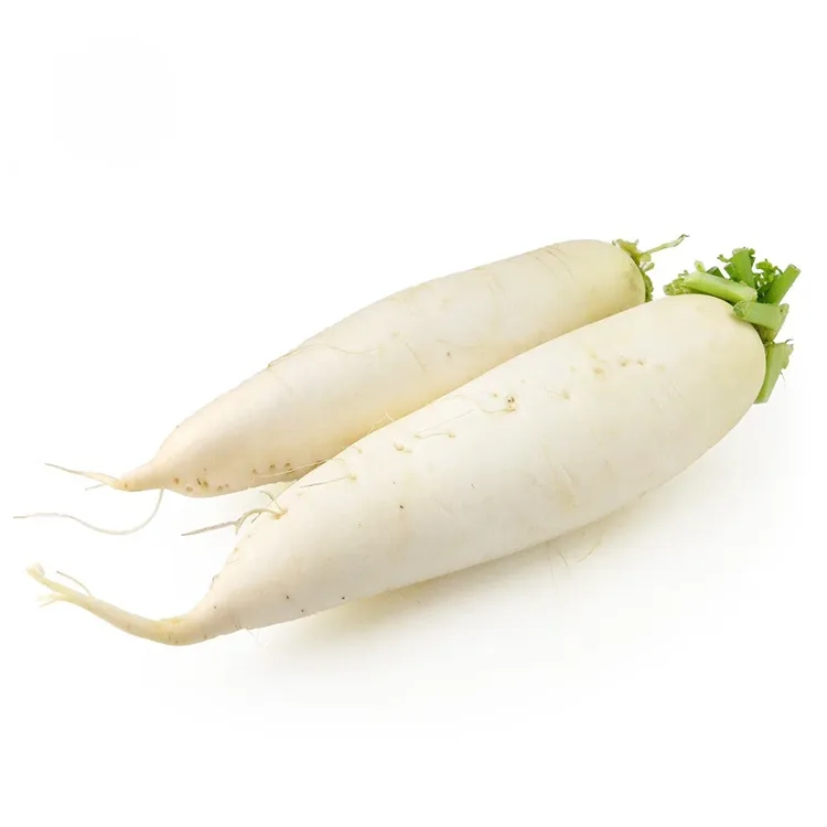 radish ສີຂາວ crunchy