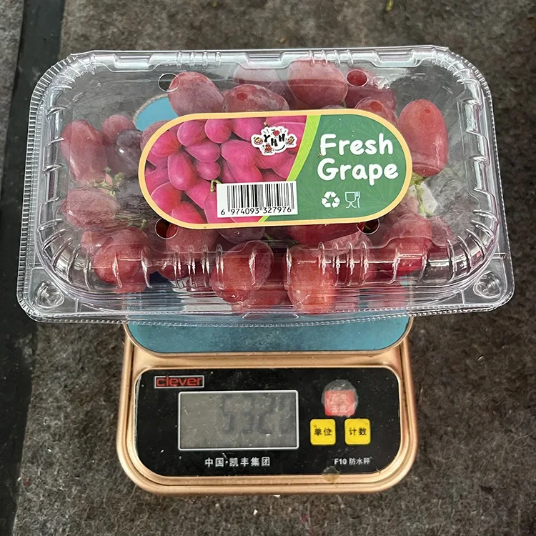 ສົ່ງອອກ Grapes Fresh Crimson Seedless Grapes