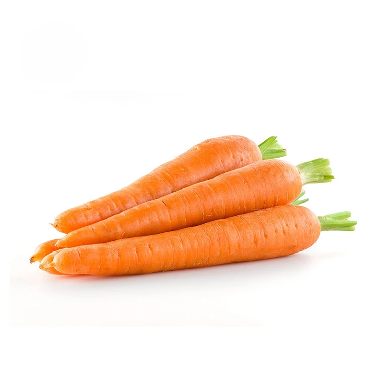 Carrots ສົດທີ່ເລືອກດ້ວຍມື