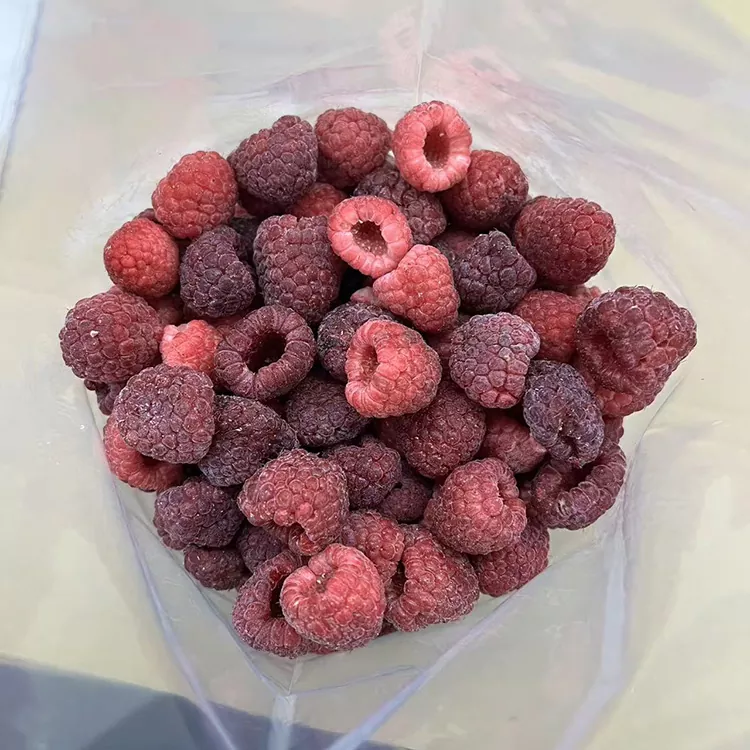 Premium IQF Whole Frozen Raspberry Red